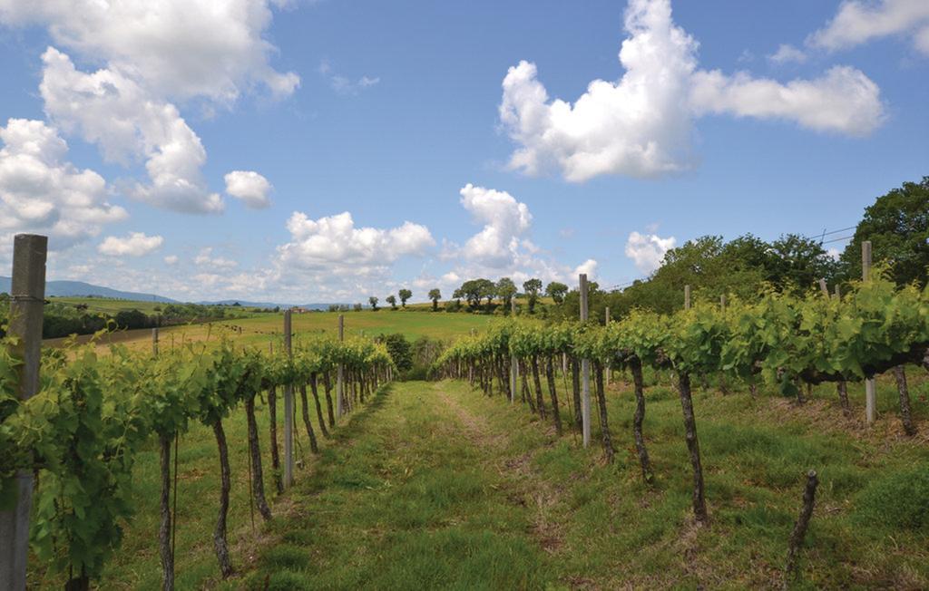 Agriturismo Il Canto Della Gallina 호텔 Villastrada  외부 사진